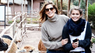 Fur Friends