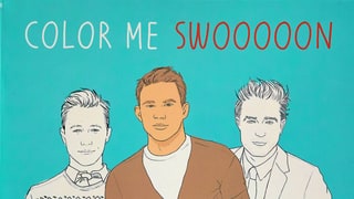 Color Me Swoon: The Beefcake Activity Book for Good Color-Inners as Well as Beginners