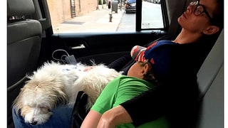 Roman and Henry