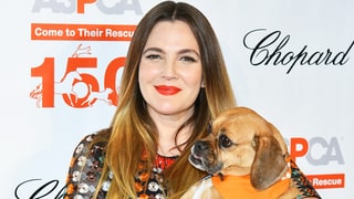 Barrymore’s Best Bud!