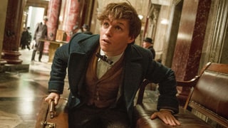 New ‘Fantastic Beasts’ Trailer Featuring Eddie Redmayne Reveals Magical Monsters