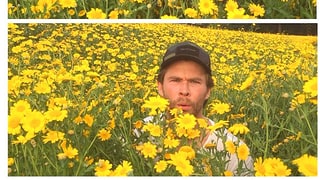 Flower Child