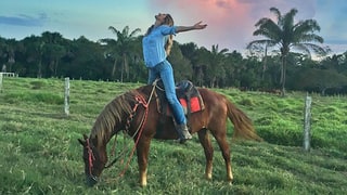 Horsing Around