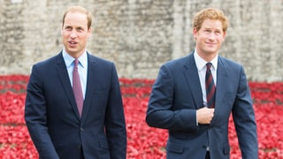 Prince William and Prince Harry’s Most Heart-Wrenching Quotes About the Late Princess Diana