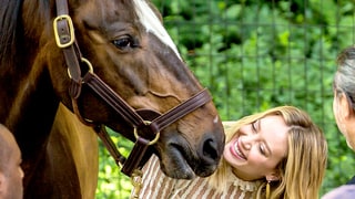 Horse Play