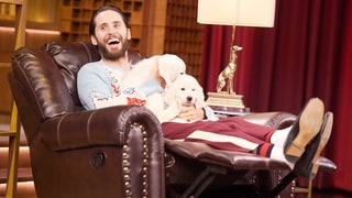 Lap Dogs