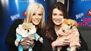 Too Doggone Cute