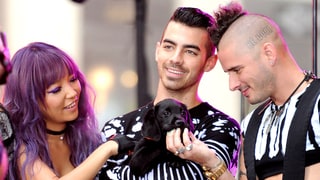 Awwww (The Puppy’s Cute, Too)!