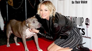 Kaley Cuoco Pens Touching Tribute After Friend’s Dog Angel Dies