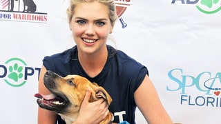 Kate Upton's Dog Has a Baseball Obsession Thanks to Her Boyfriend Justin Verlander