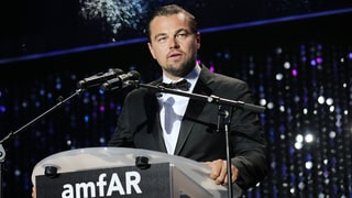Leonardo DiCaprio's Foundation Grants $15.7 Million to Stop Climate Change, Preserve Wildlife