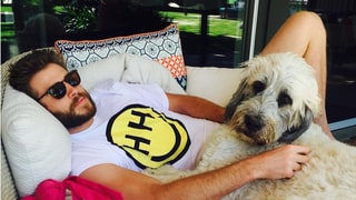 Miley Cyrus Shares Sweet Photo of Liam Hemsworth and His Dog: ‘So Much Love in One Pic’