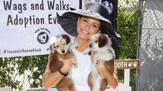 Maria Menounos Throws Her Dog a Sweet 16 Because Why Not