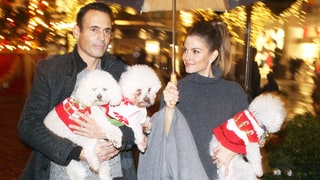 The Three Dogs of Christmas