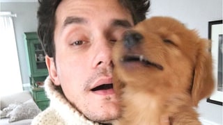 John Mayer