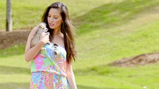 They Stroll With Their Dogs!