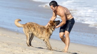 They Play With Their Pups!