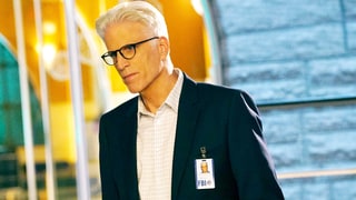 Ted Danson Is Leaving 'CSI: Cyber' — Is This the End of the Franchise?