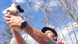 Tom Brady Re-creates Lion King’s ‘Circle of Life’ Scene With His Adorable New Puppy, Fluffy