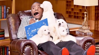 Pup Up Video