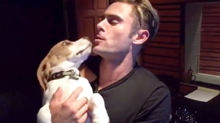 Zac Efron Getting Slobbery Kisses From a Puppy Will Make You Melt: Watch