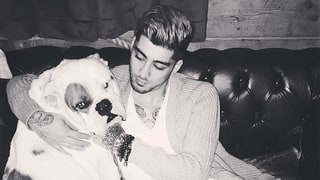 Zayn Malik