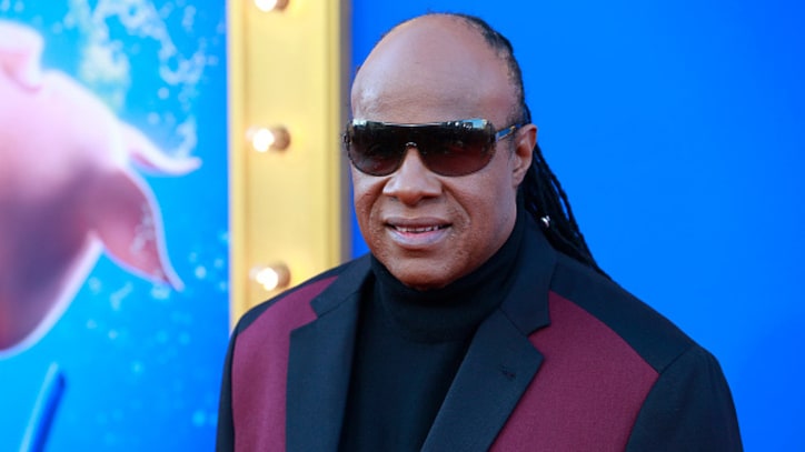 Stevie Wonder: Politicians Must End 'Hatred, Bigotry of Any Kind'