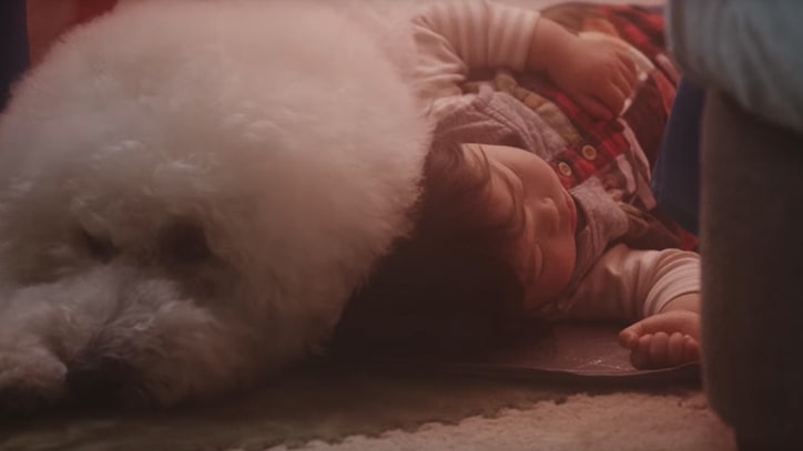 Watch Beck's 'Fix Me' Video Starring Instagram-Famous Poodles