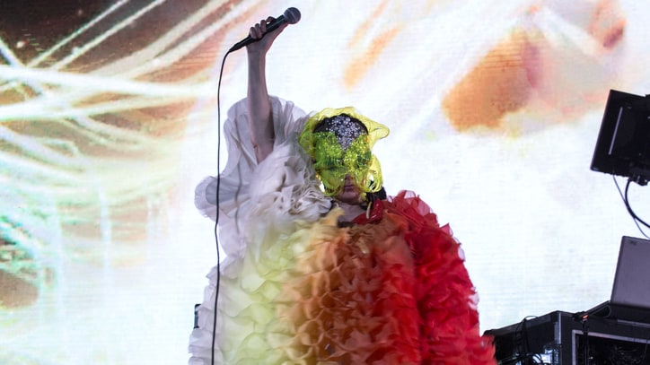 Bjork Elaborates on Danish Director's Alleged Sexual Assault
