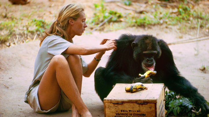 How 'Jane' Captures the Legendary Primatologist – In Her Own Words
