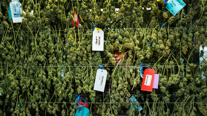 Inside the High-Tech Solution for Smelly, Smelly Weed