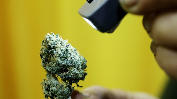 How Mapping Marijuana DNA Could Change the Future of Pot
