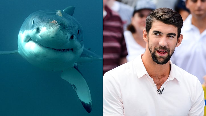 Michael Phelps 'Loses' to Great White Shark in Fake Race