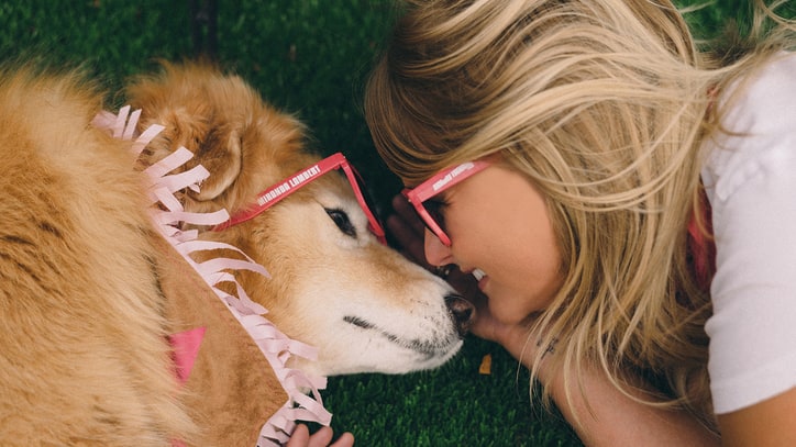 Miranda Lambert to Lead CMA Fest Dog Parade: Ram Report
