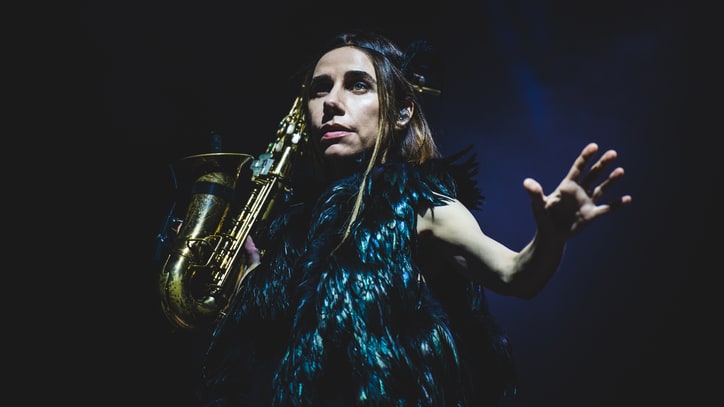 PJ Harvey, John Parish Unite on Folky New Song 'I'm Sorry for Your Loss'