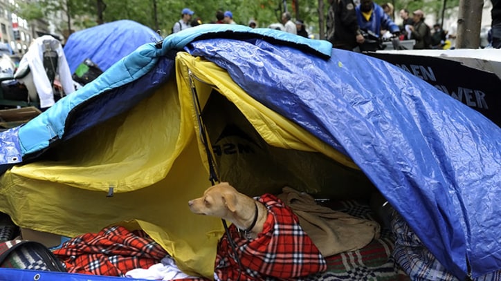 Today in Occupy Wall Street
