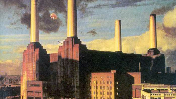 Animals