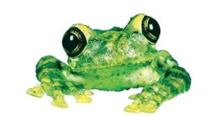 Frogstomp