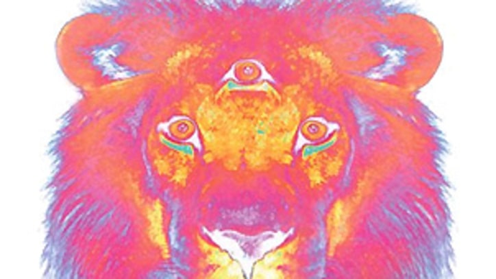 Lions