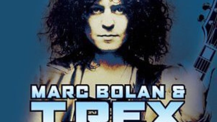 20th Century Boy: The Ultimate Collection