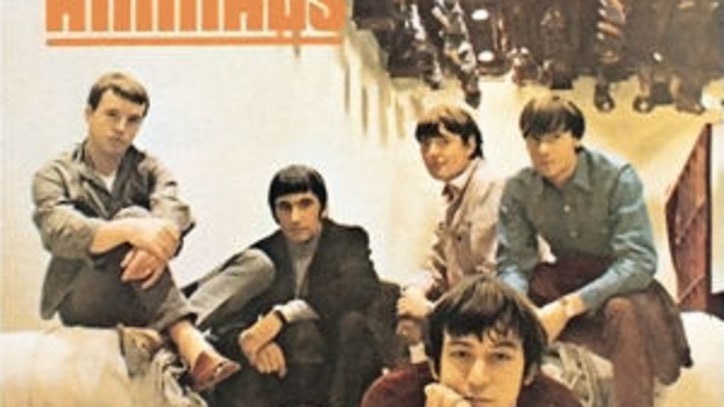 Best Of The Animals