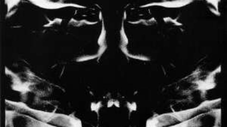 Mad Shadows