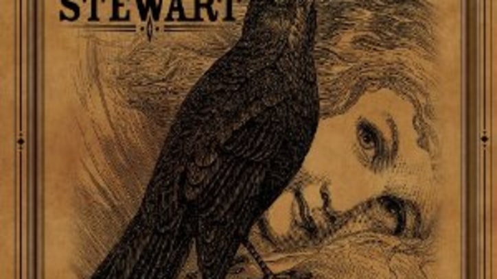 The Blackbird Diaries