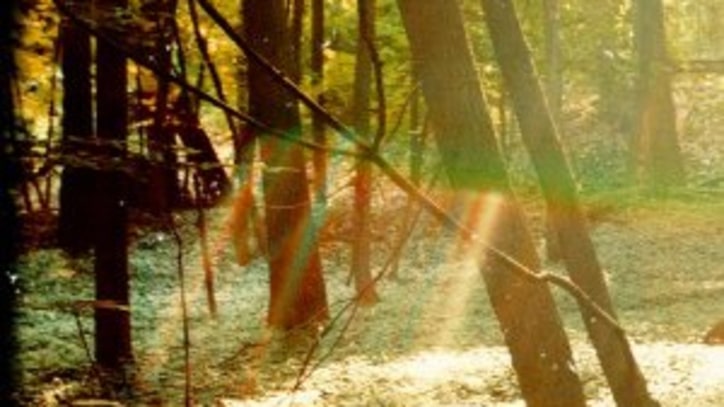 Camp