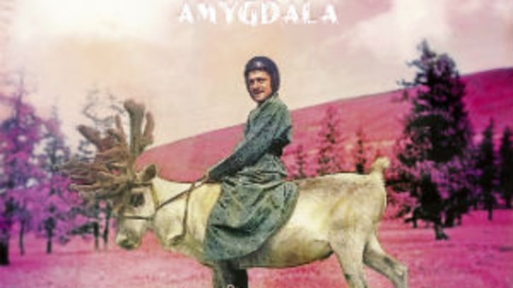 Amygdala