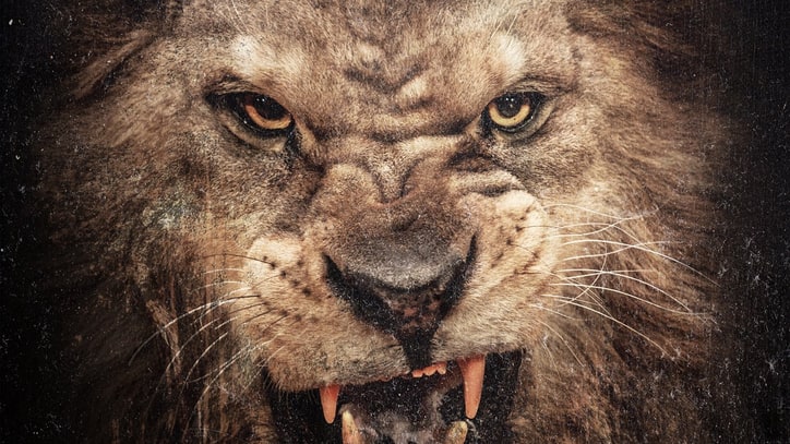 Animal Ambition: An Untamed Desire to Win