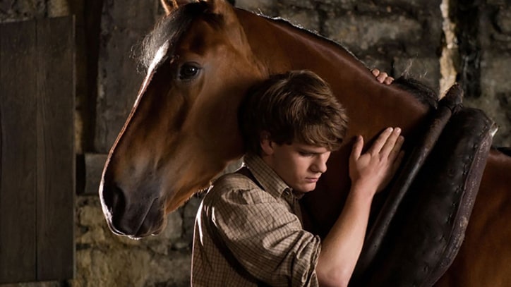 War Horse