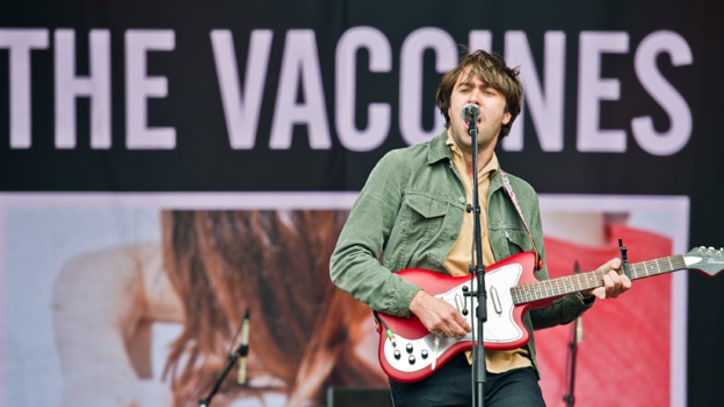 The Vaccines 'Tiger Blood'