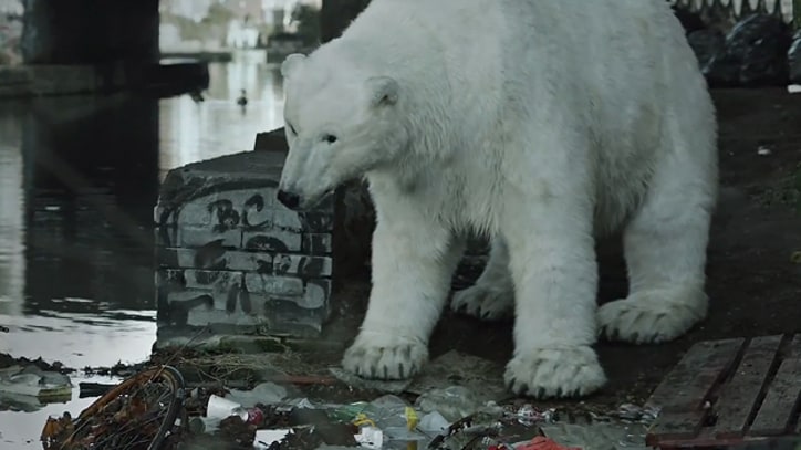 Radiohead Lend Song to 'Homeless Polar Bear in London'