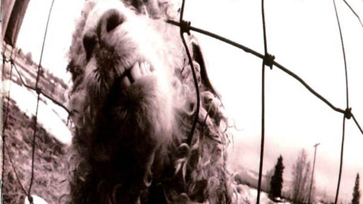 Reviewed: Pearl Jam's Early Classics Reissued; Wiz Khalifa's Stoner Rap Debut and More